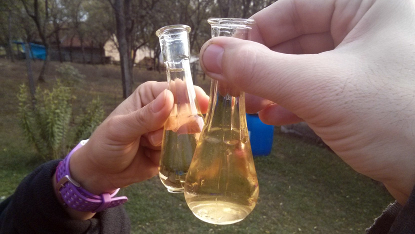 sanjati rakiju rakija