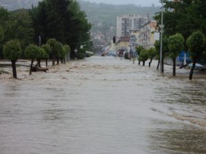 šta znači sanjati poplavu ili bujicu