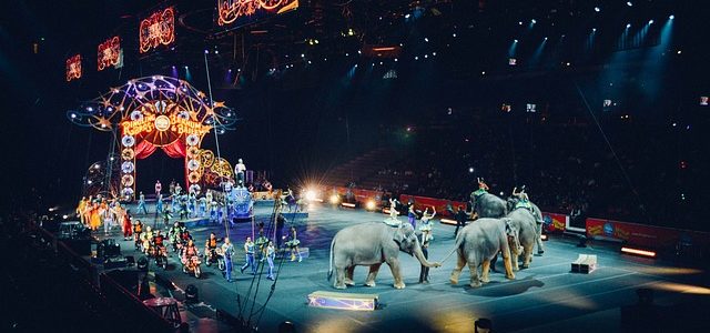Šta znači sanjati cirkus
