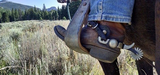 šta znači sanjati mamuze značenje sna