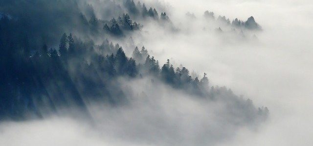 sanjati maglu značenje sna